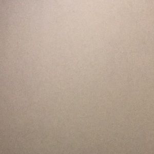 Meet your Posher, Allie